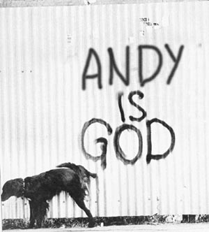 1_4534deb385d46.jpg 300X332 px